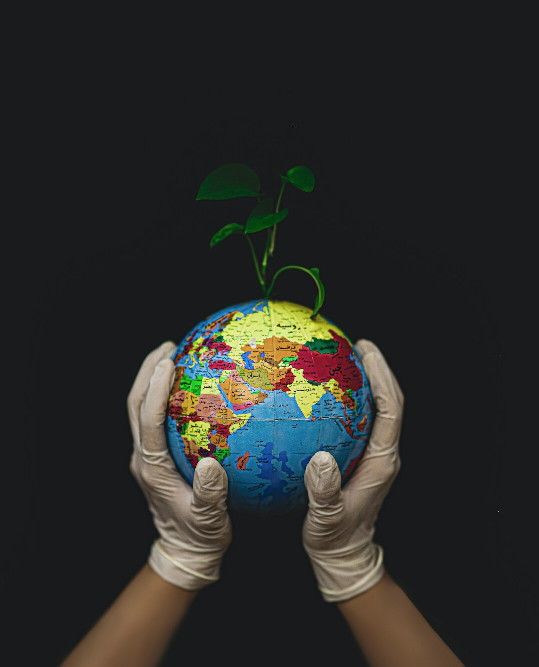 sustainable lifestyle